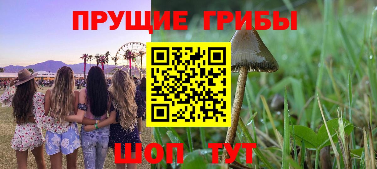 Галлюциногенные грибы MAGIC MUSHROOMS Южно-Сахалинск