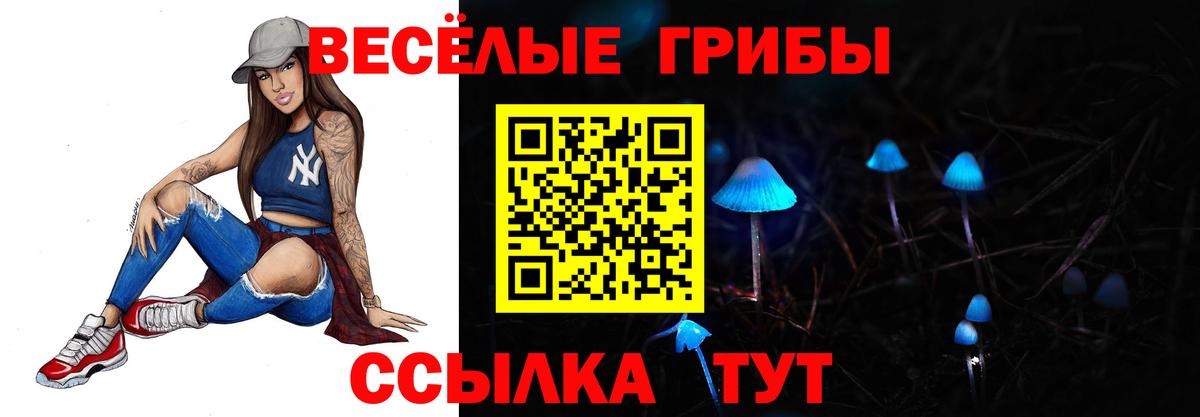купить наркотик  Псилоцибиновые грибы GOLDEN TEACHER  Вход с VPN  Псилоцибиновые грибы прущие грибы  Южно-Сахалинск 